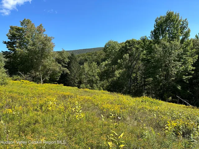 $70,000 | Tbd Todd Mountain Road, Arkville, NY 12406