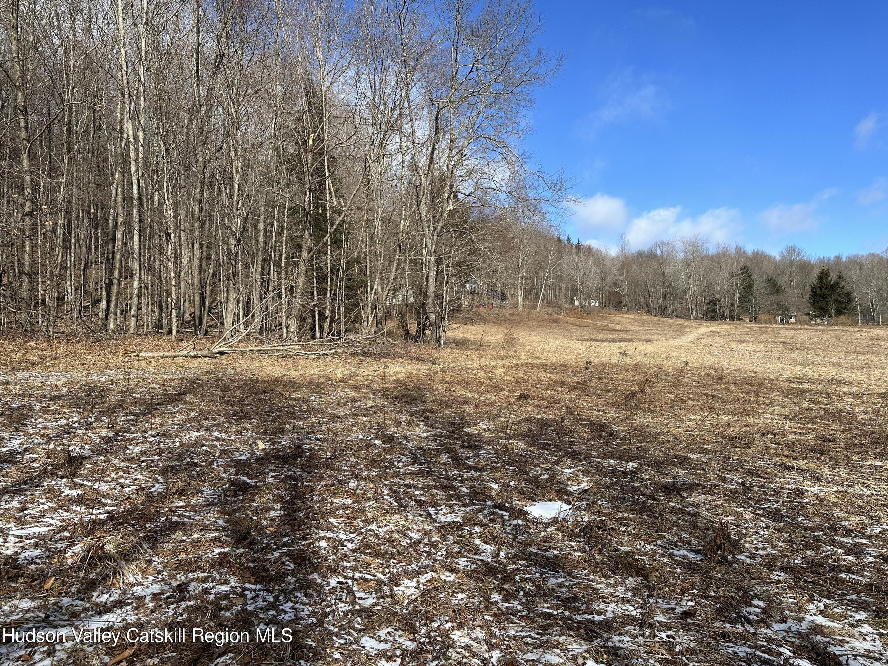Tbd Todd Mountain Road Arkville, NY 12406 - Photo 12 of 12 IMG_8252