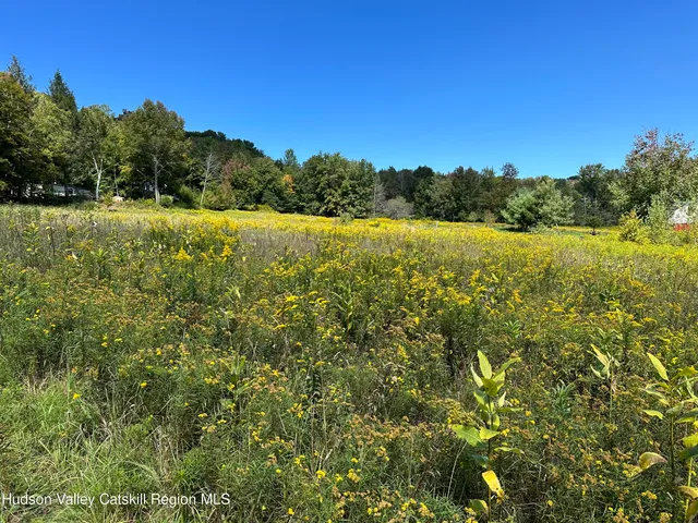 $70,000 | Tbd Todd Mountain Road, Arkville, NY 12406