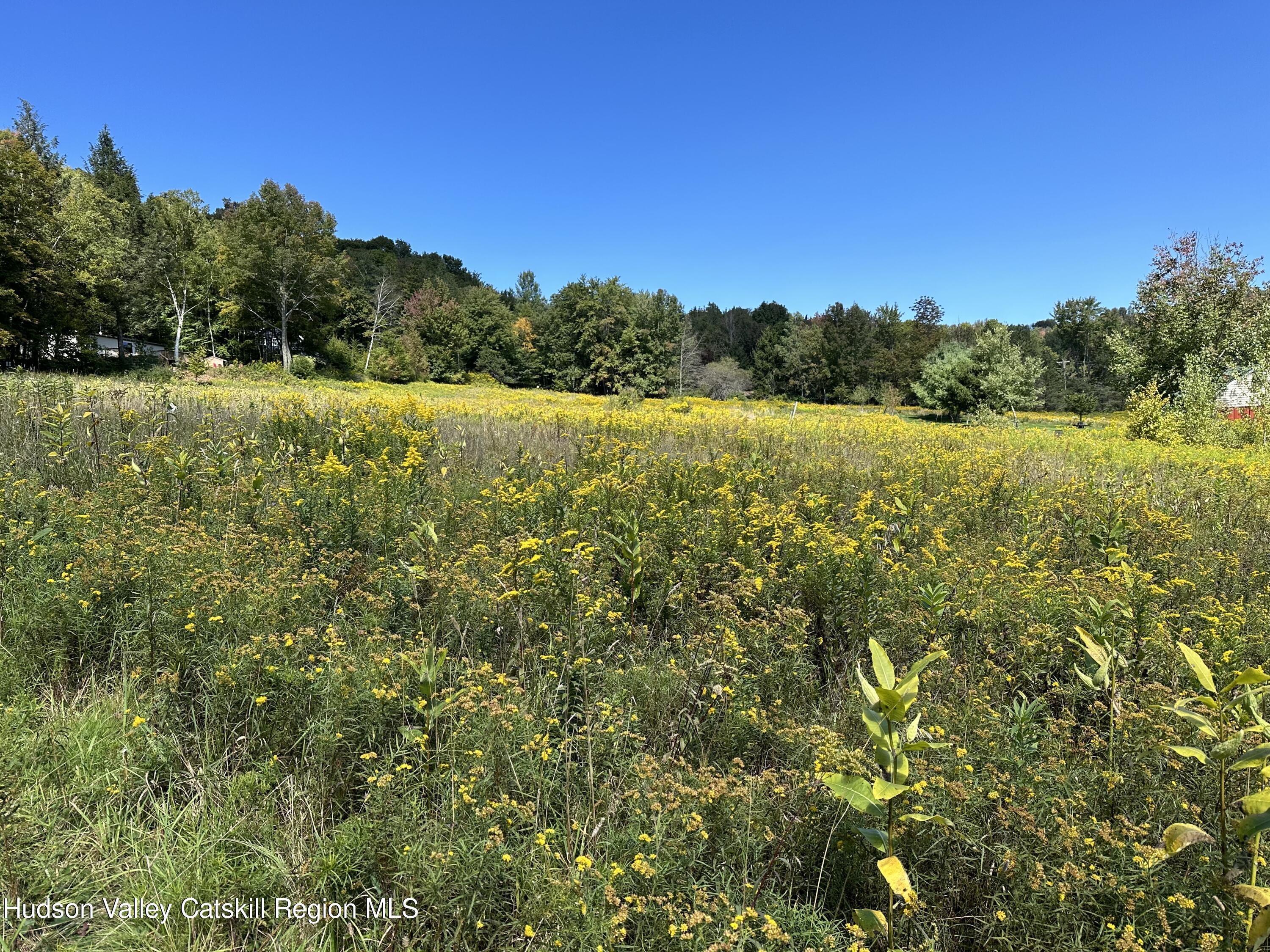 Tbd Todd Mountain Road Arkville, NY 12406 - Photo 2 of 12 IMG_0068