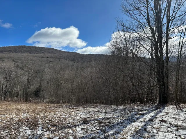 $70,000 | Tbd Todd Mountain Road, Arkville, NY 12406