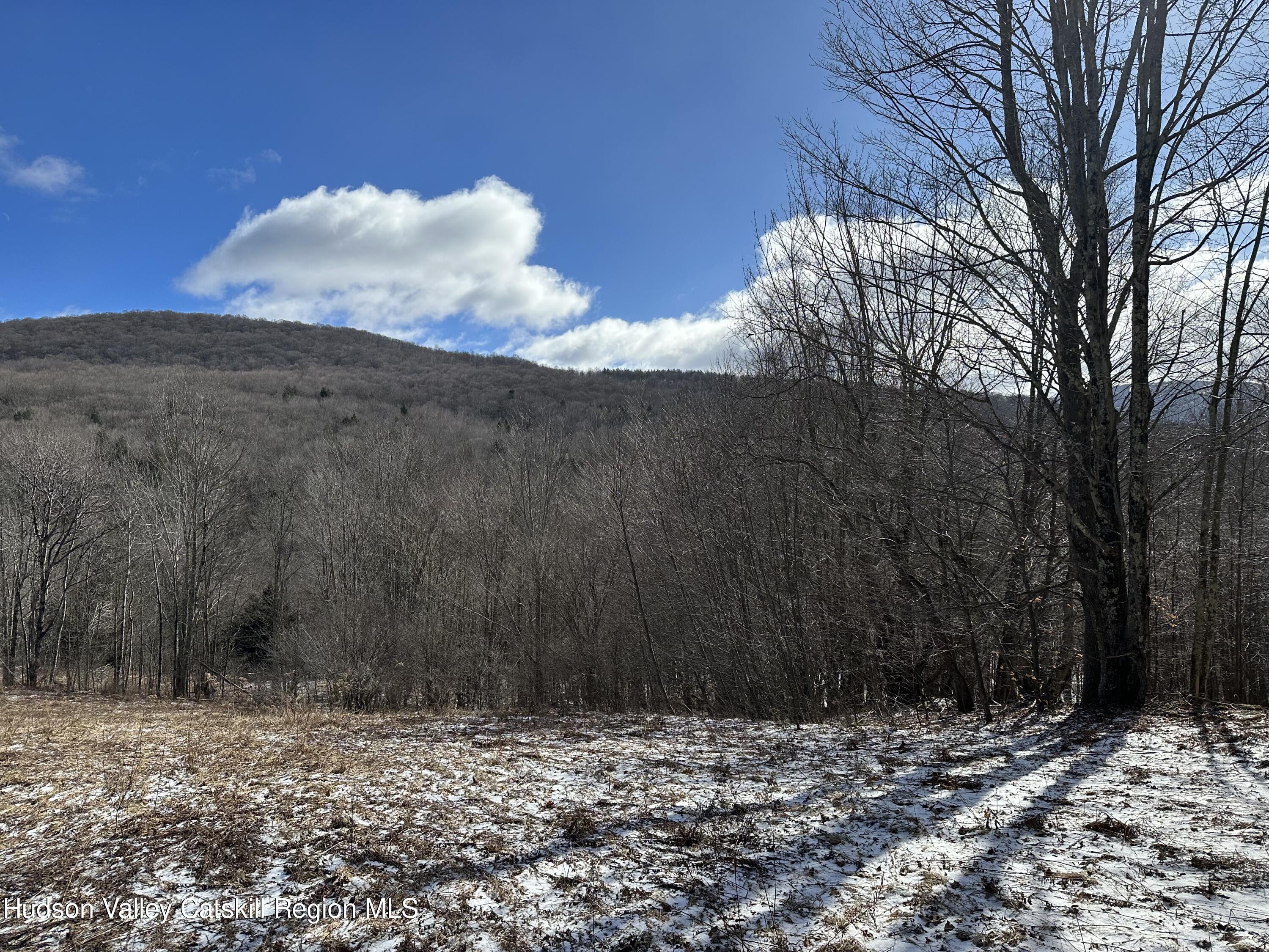 Tbd Todd Mountain Road Arkville, NY 12406 - Photo 3 of 12 IMG_8251