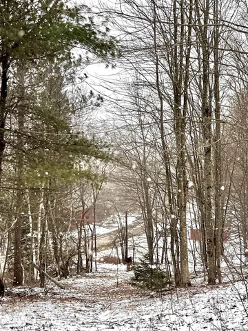 $70,000 | Tbd Todd Mountain Road, Arkville, NY 12406