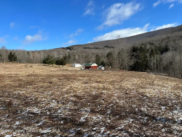 $70,000 | Tbd Todd Mountain Road, Arkville, NY 12406