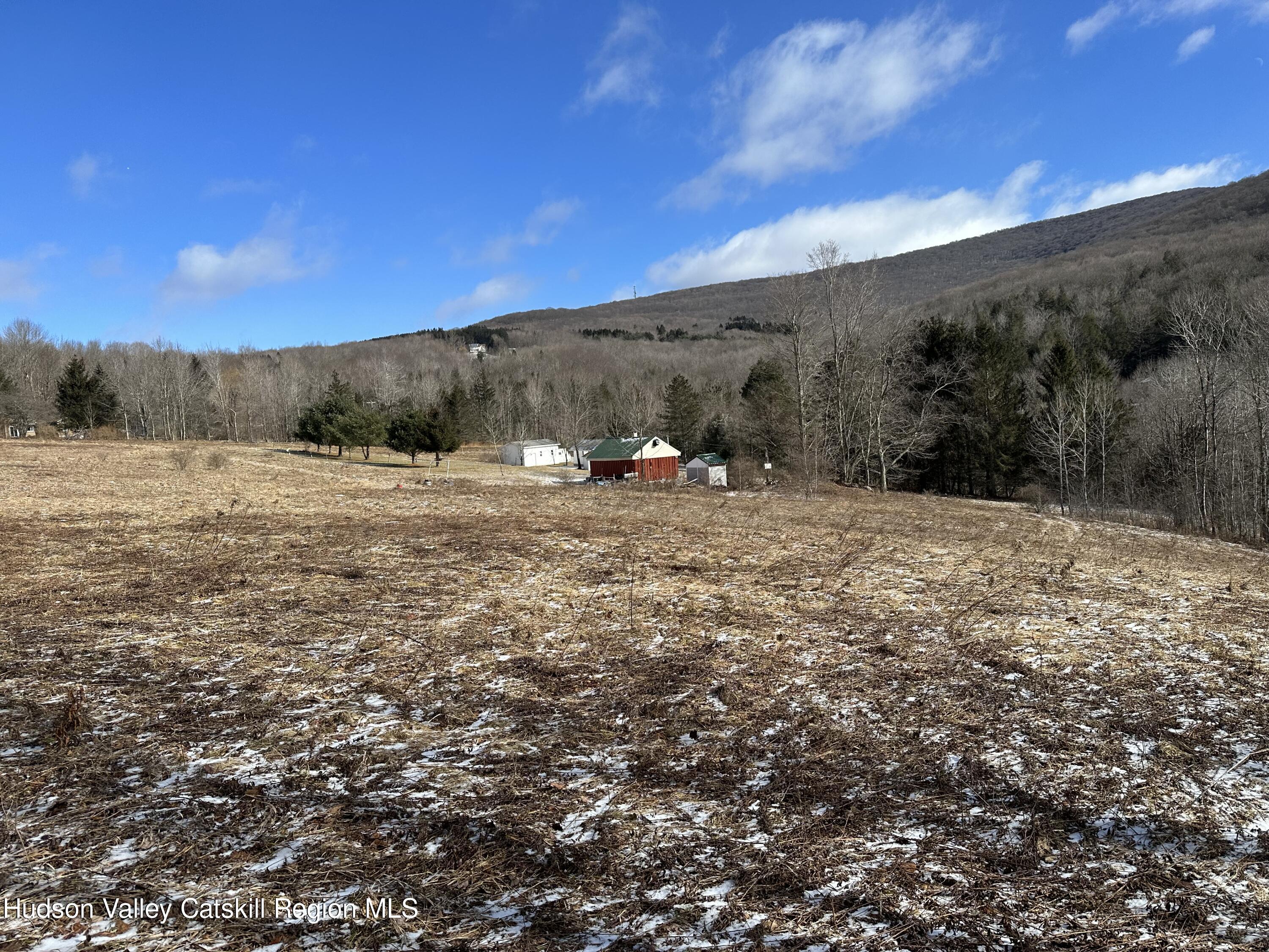 Tbd Todd Mountain Road Arkville, NY 12406 - Photo 5 of 12 IMG_8250