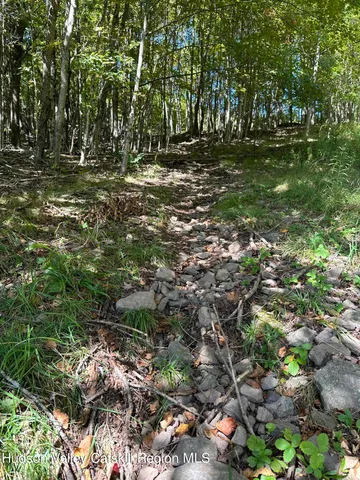 $70,000 | Tbd Todd Mountain Road, Arkville, NY 12406