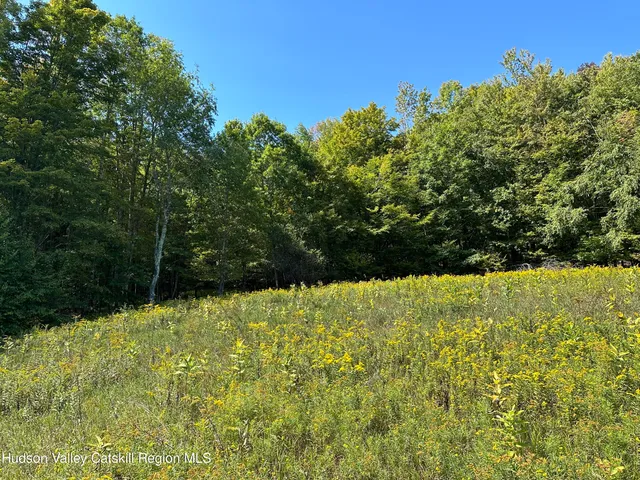 $70,000 | Tbd Todd Mountain Road, Arkville, NY 12406