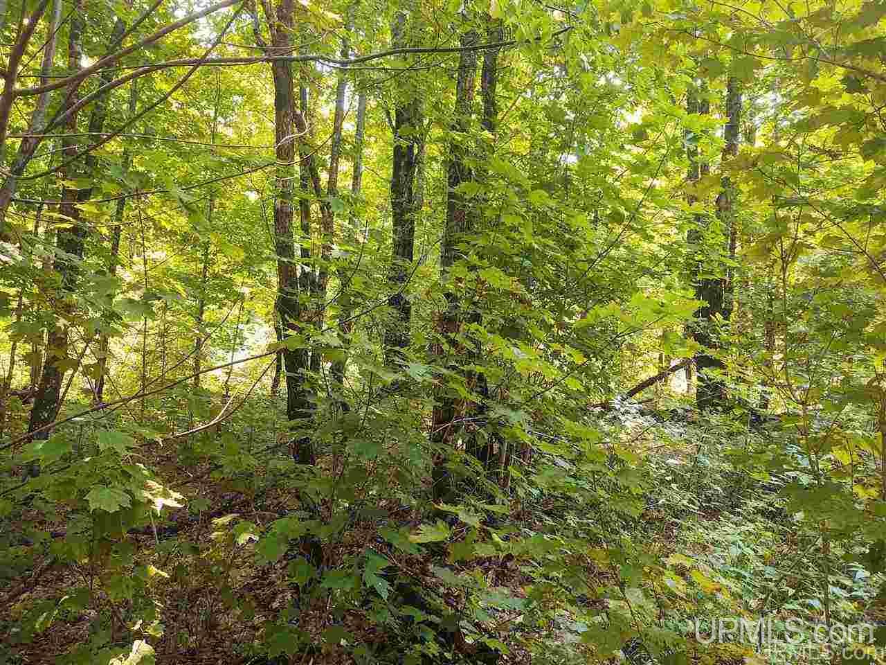 Tbd Connors Road Iron River, MI 49935 - Photo 17 of 34