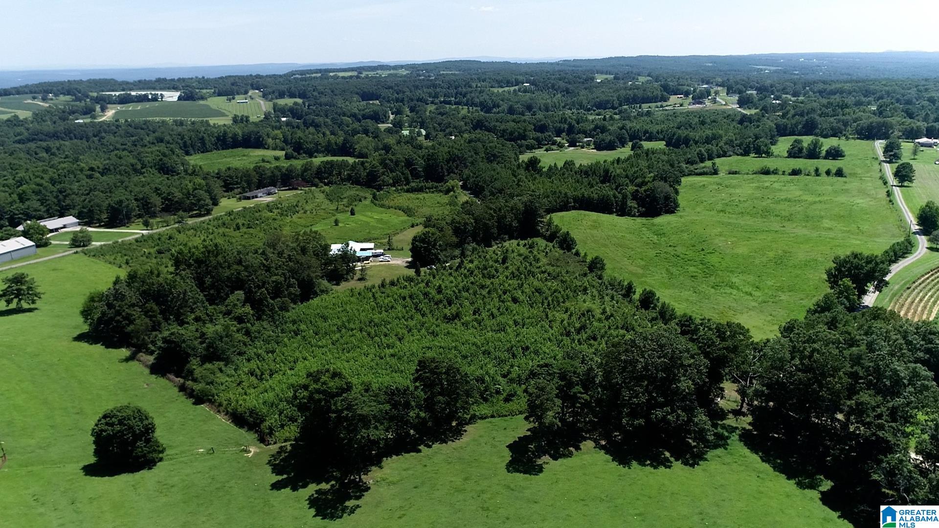 0 Landreth Road, Unit 9 5 / ACRES Oneonta, AL 35121 - Photo 6 of 6