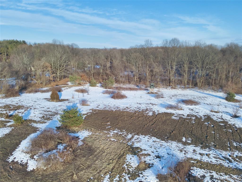 0 Pine Knob Road Clarkston, MI 48348 - Photo 11 of 12