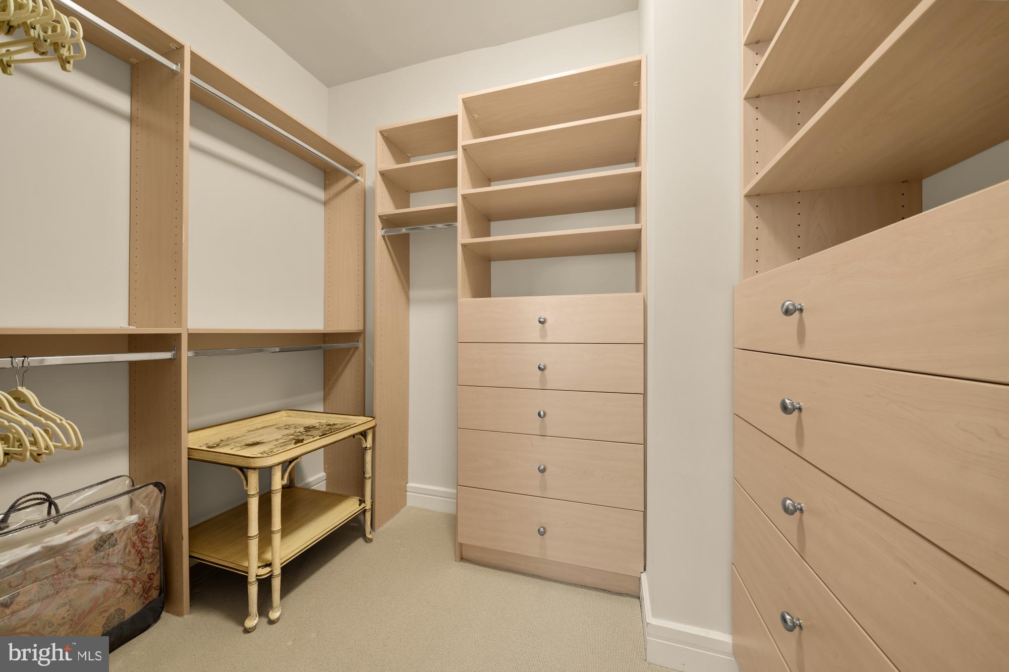 1155 23rd Street Northwest, Unit 6H Washington, DC 20037 - Photo 22 of 27 a view of an empty walk in closet