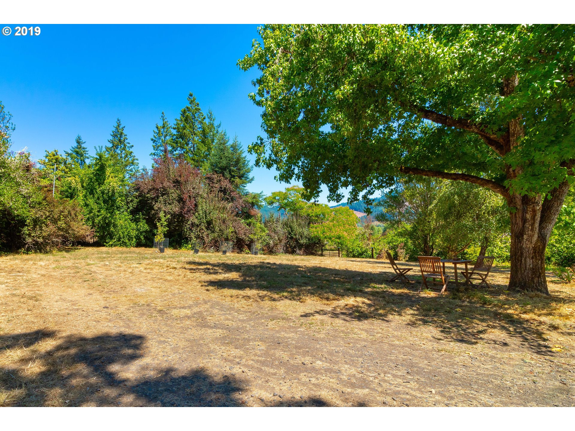 892 Mathis Hill Road Yoncalla, OR 97499 - Photo 4 of 32