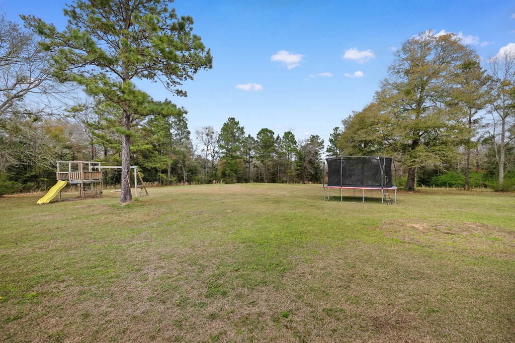 1335 Strong Road Ashford, AL 36312 - Photo 66 of 95