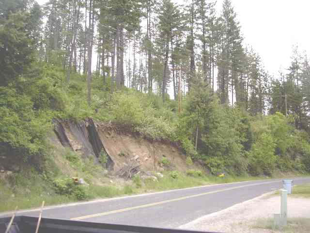 0 Larson Beach Road Loon Lake, WA 99148 - Photo 2 of 2