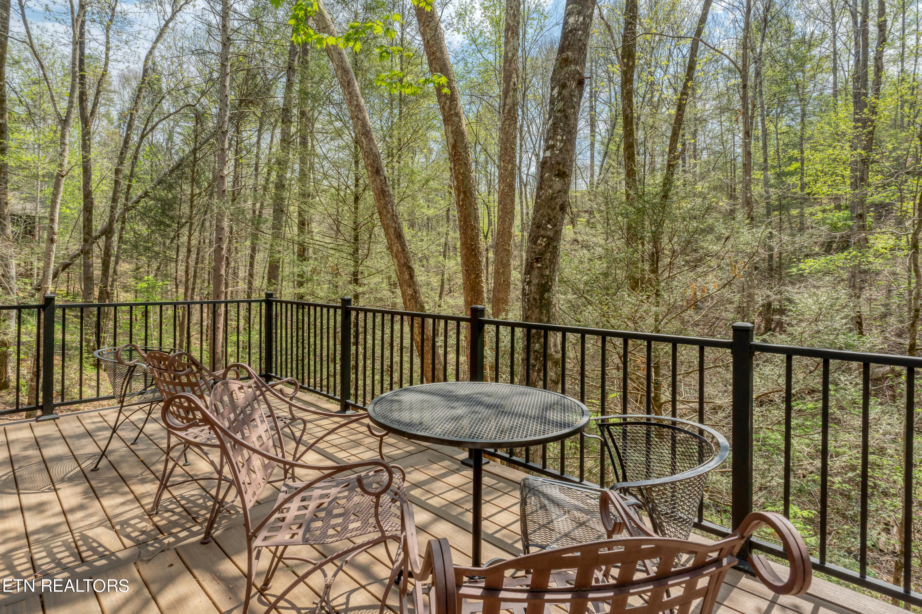 133 Mountain Loft Road Townsend, TN 37882 - Photo 30 of 33 DSC_3625-37