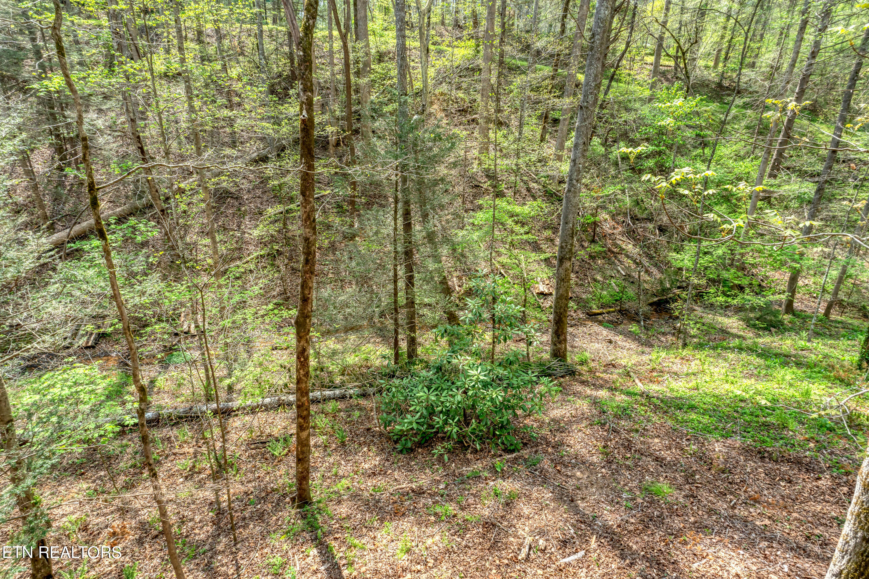 133 Mountain Loft Road Townsend, TN 37882 - Photo 31 of 33 DSC_3625-39