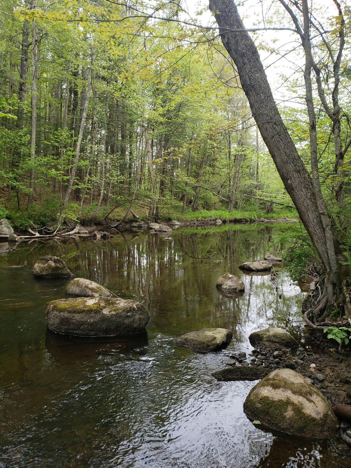 0 Hall Road Windham, ME 04062 - Photo 4 of 5 IMG_0290