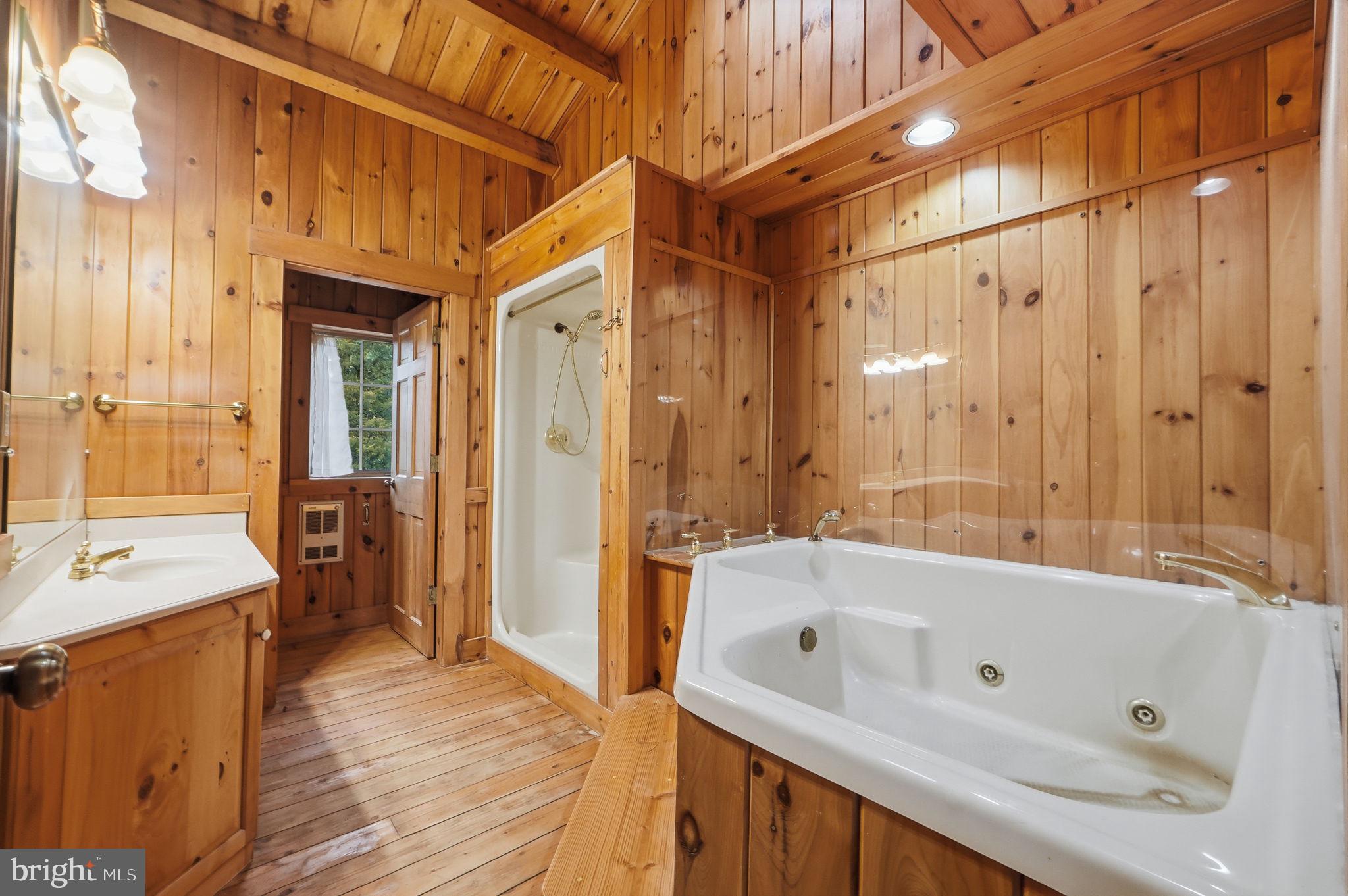 21142 Westerly Road Poolesville, MD 20837 - Photo 33 of 76 a bathroom with a tub a sink and mirrors