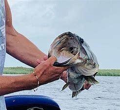 18990 Northwest 284th Street Okeechobee, FL 34972 - Photo 17 of 17 stock4