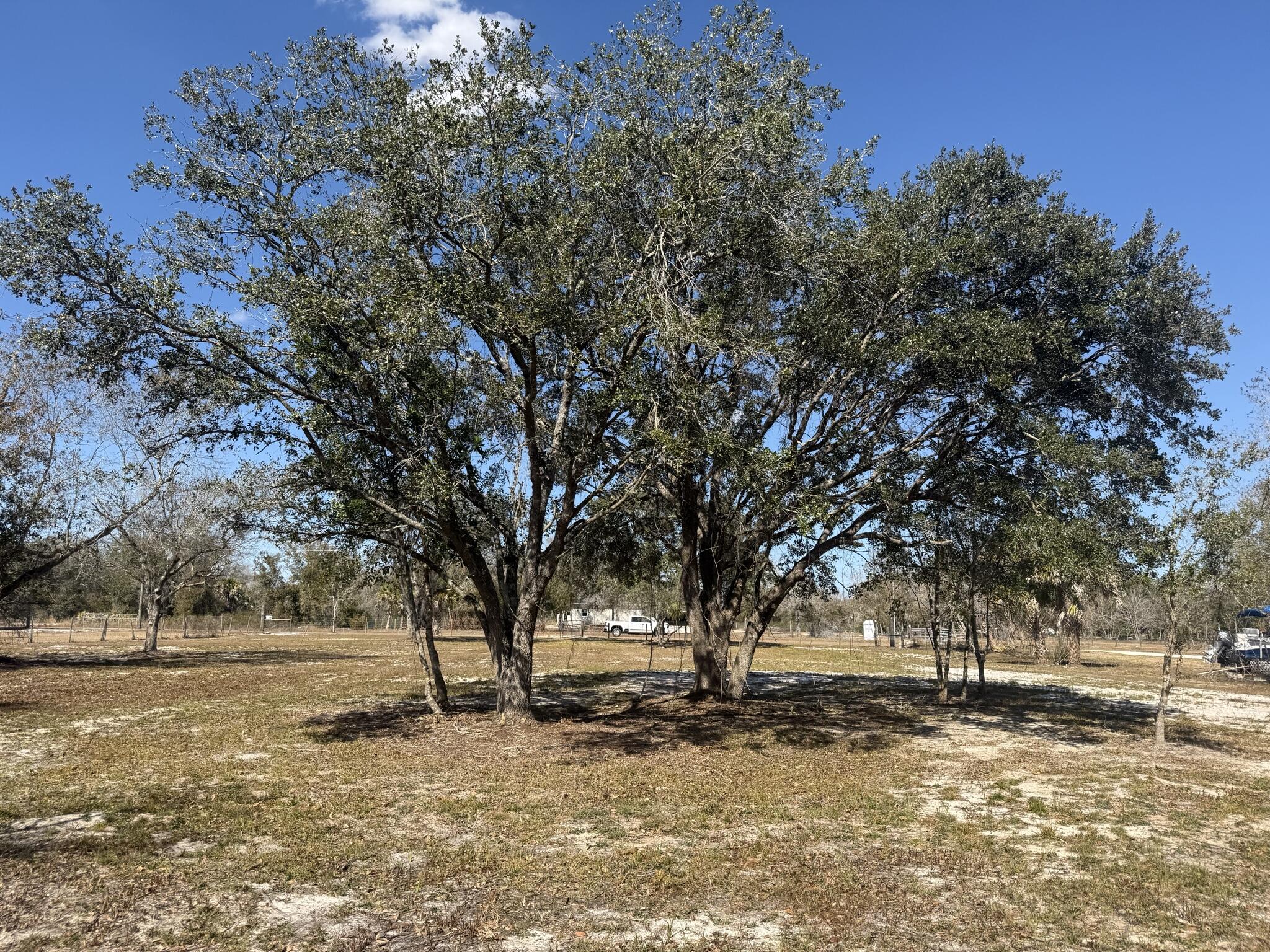 18990 Northwest 284th Street Okeechobee, FL 34972 - Photo 3 of 17 IMG_9319 (1)