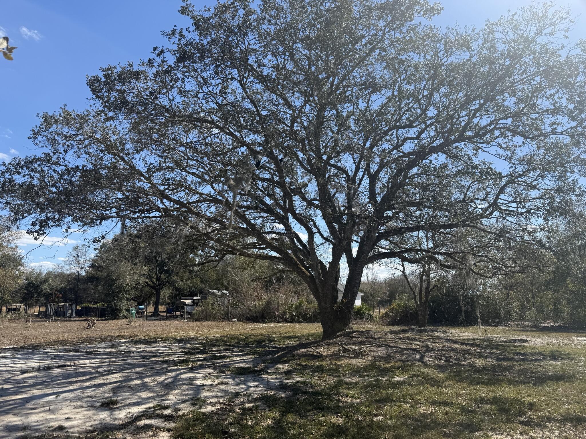 18990 Northwest 284th Street Okeechobee, FL 34972 - Photo 4 of 17 IMG_9318