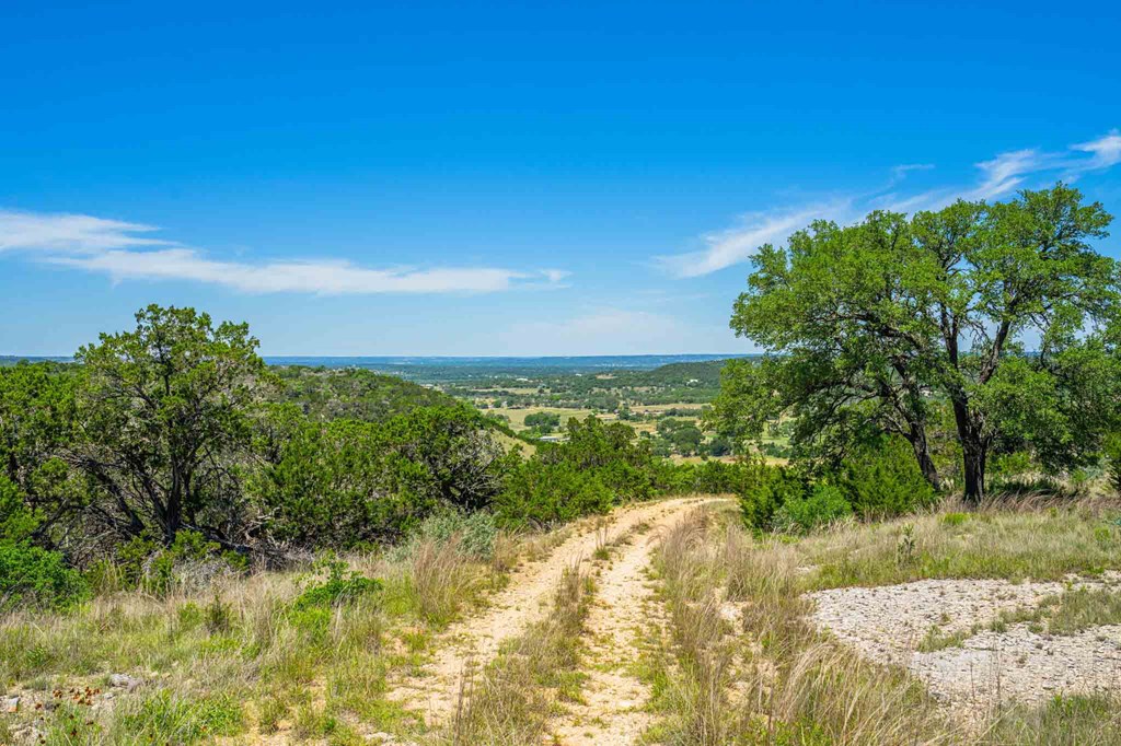 161 East Flach Road Comfort, TX 78013 - Photo 20 of 91
