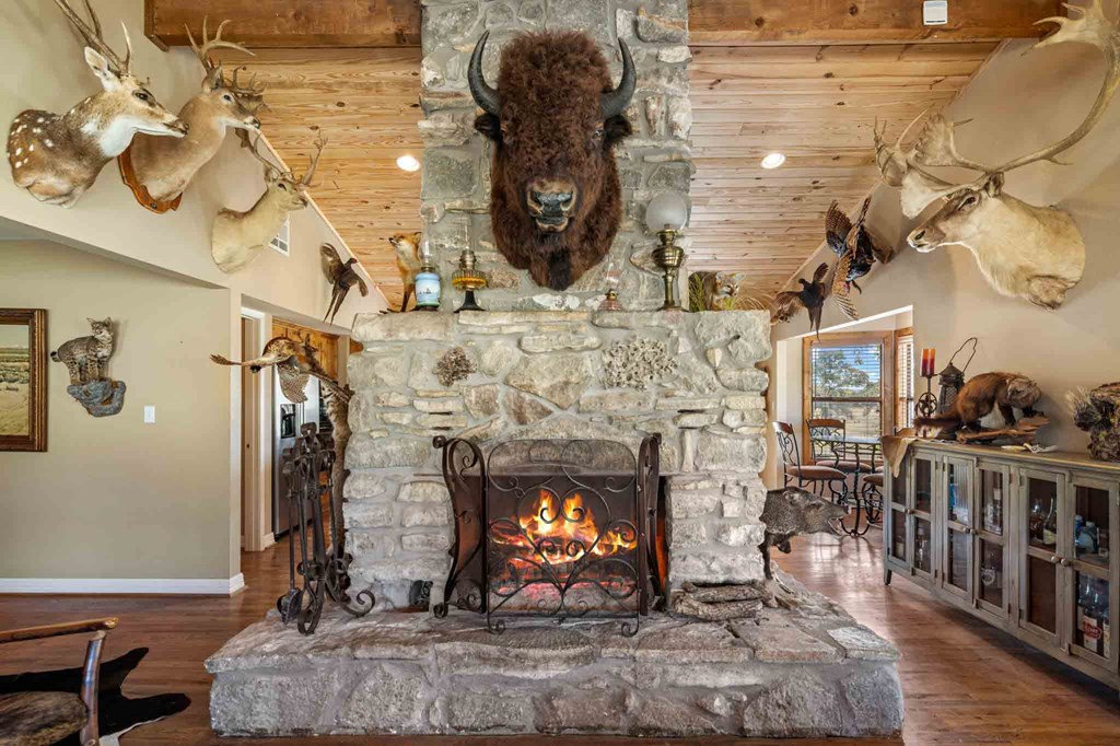 161 East Flach Road Comfort, TX 78013 - Photo 32 of 91