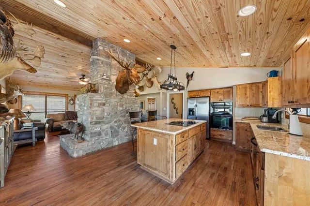 a view of backyard with tree