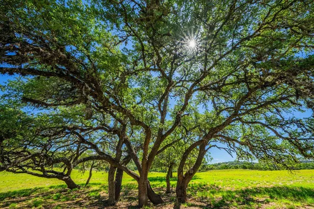 $7,400,000 | 161 East Flach Road, Comfort, TX 78013