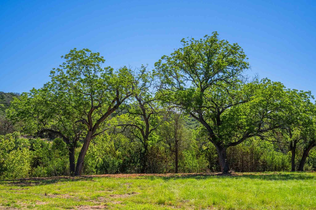 161 East Flach Road Comfort, TX 78013 - Photo 69 of 91 a view of a large yard