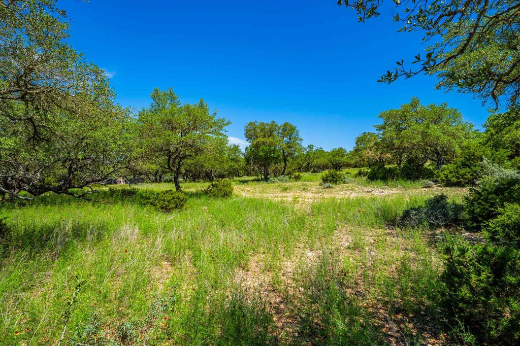 161 East Flach Road Comfort, TX 78013 - Photo 73 of 91