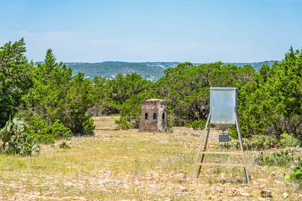 161 East Flach Road Comfort, TX 78013 - Photo 80 of 91 a view of a swimming pool with a yard