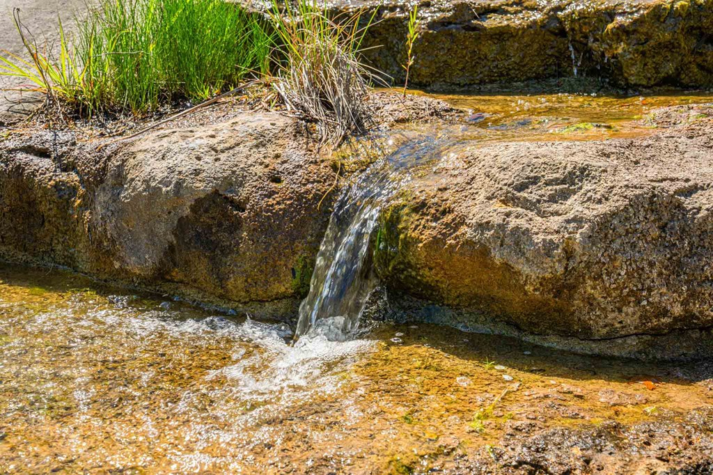 161 East Flach Road Comfort, TX 78013 - Photo 8 of 91