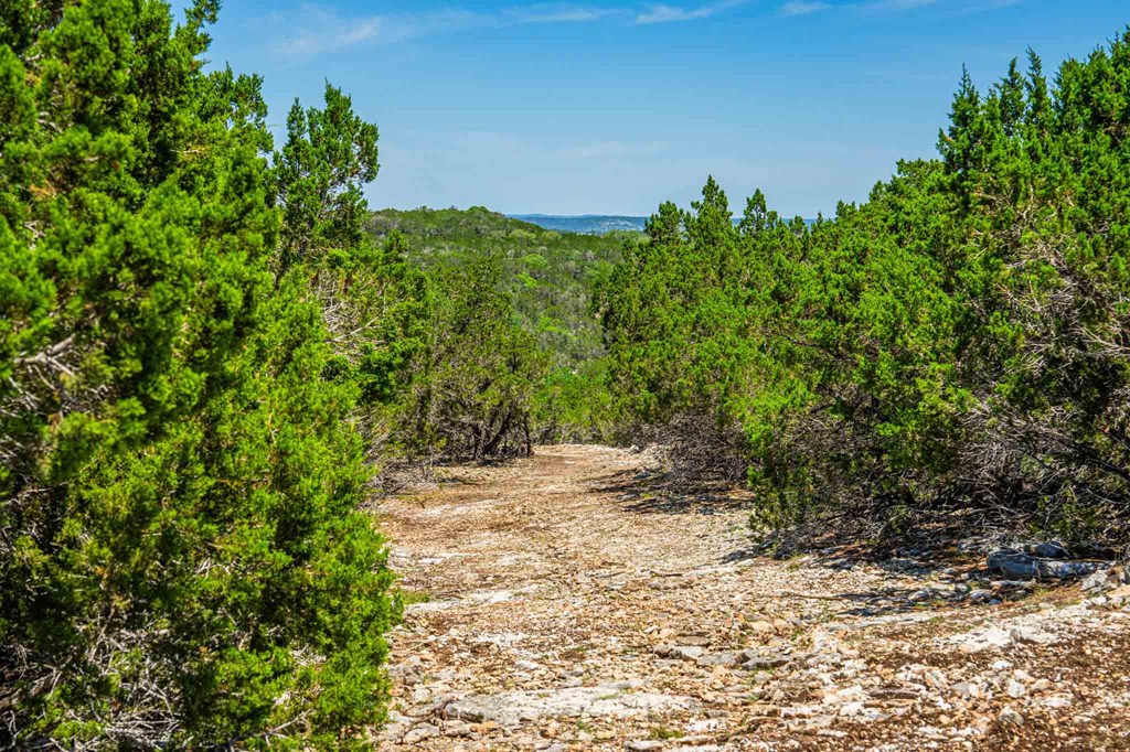 161 East Flach Road Comfort, TX 78013 - Photo 81 of 91 a backyard of a house with lots of green space