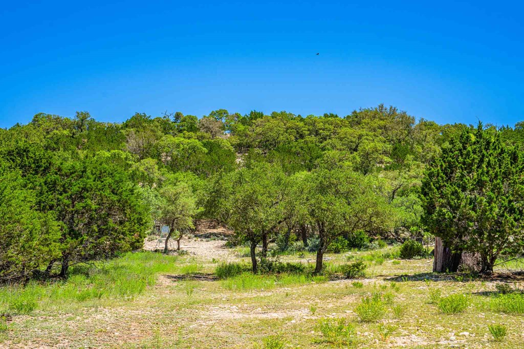 161 East Flach Road Comfort, TX 78013 - Photo 82 of 91