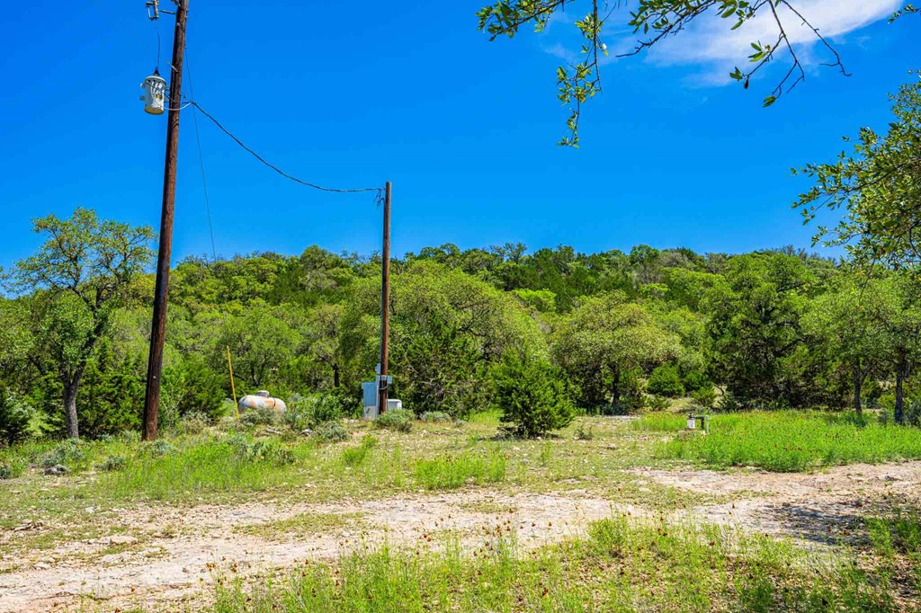 161 East Flach Road Comfort, TX 78013 - Photo 86 of 91 a view of a garden with a tree