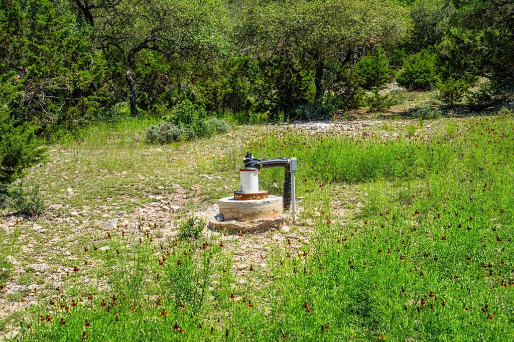 161 East Flach Road Comfort, TX 78013 - Photo 88 of 91 a garden view
