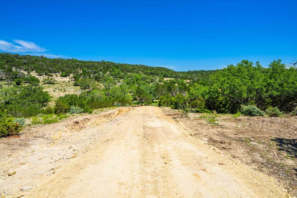 161 East Flach Road Comfort, TX 78013 - Photo 90 of 91