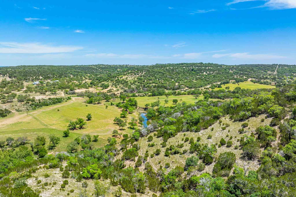 161 East Flach Road Comfort, TX 78013 - Photo 9 of 91