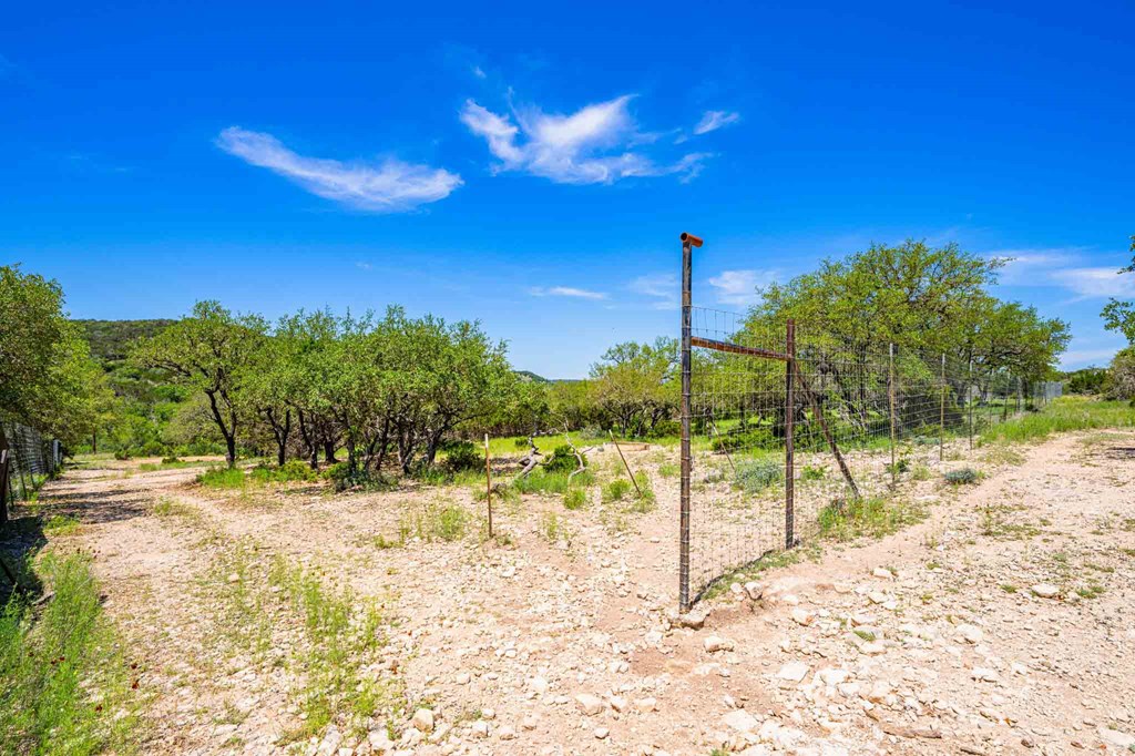 161 East Flach Road Comfort, TX 78013 - Photo 91 of 91 a view of a yard with a house