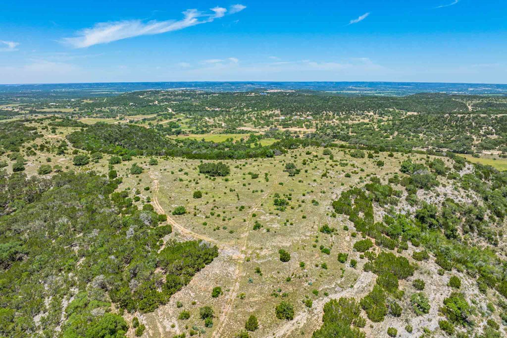 161 East Flach Road Comfort, TX 78013 - Photo 10 of 91