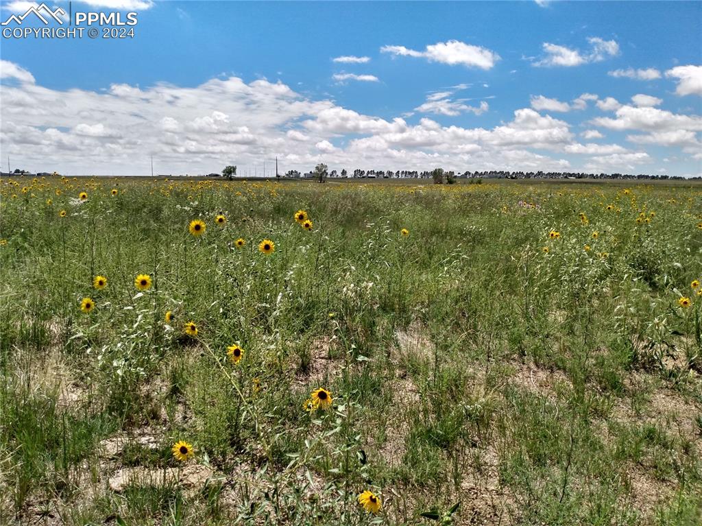 10975 McClelland Road Calhan, CO 80808 - Photo 5 of 32