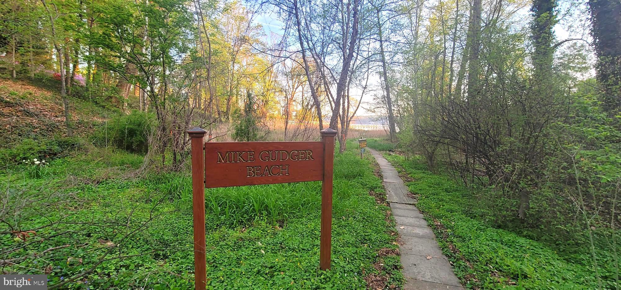 211 Wardour Drive Annapolis, MD 21401 - Photo 56 of 71 Wardour community walking path