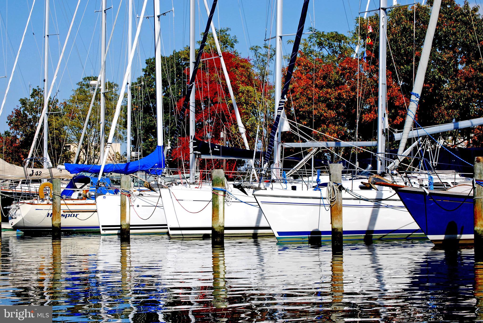 211 Wardour Drive Annapolis, MD 21401 - Photo 64 of 71