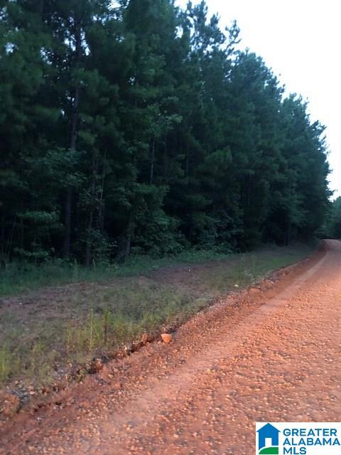 268 County Road, Unit 21 6 Roanoke, AL 36274 - Photo 1 of 4