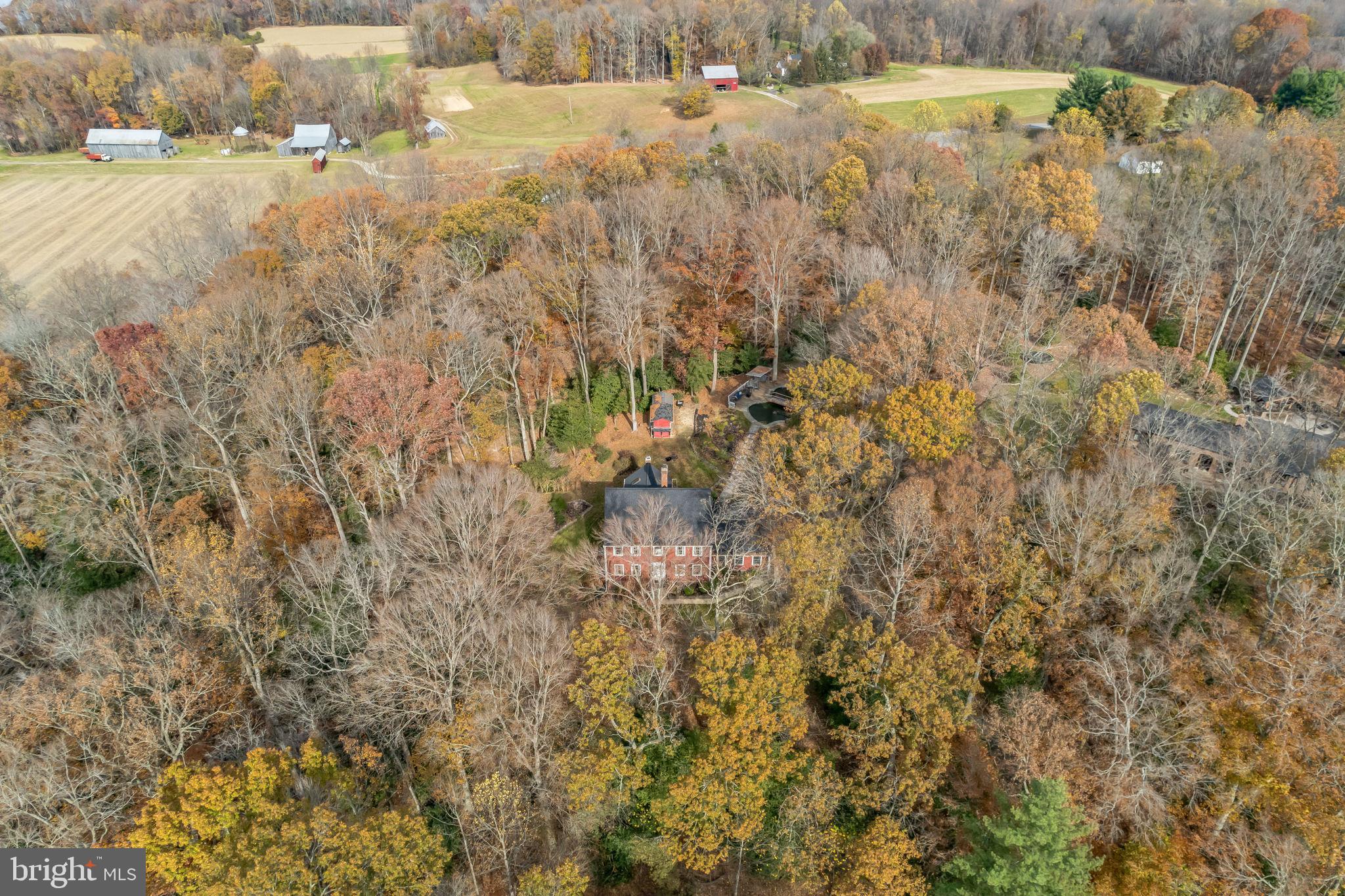 10401 3 Doctors Road Dunkirk, MD 20754 - Photo 4 of 45