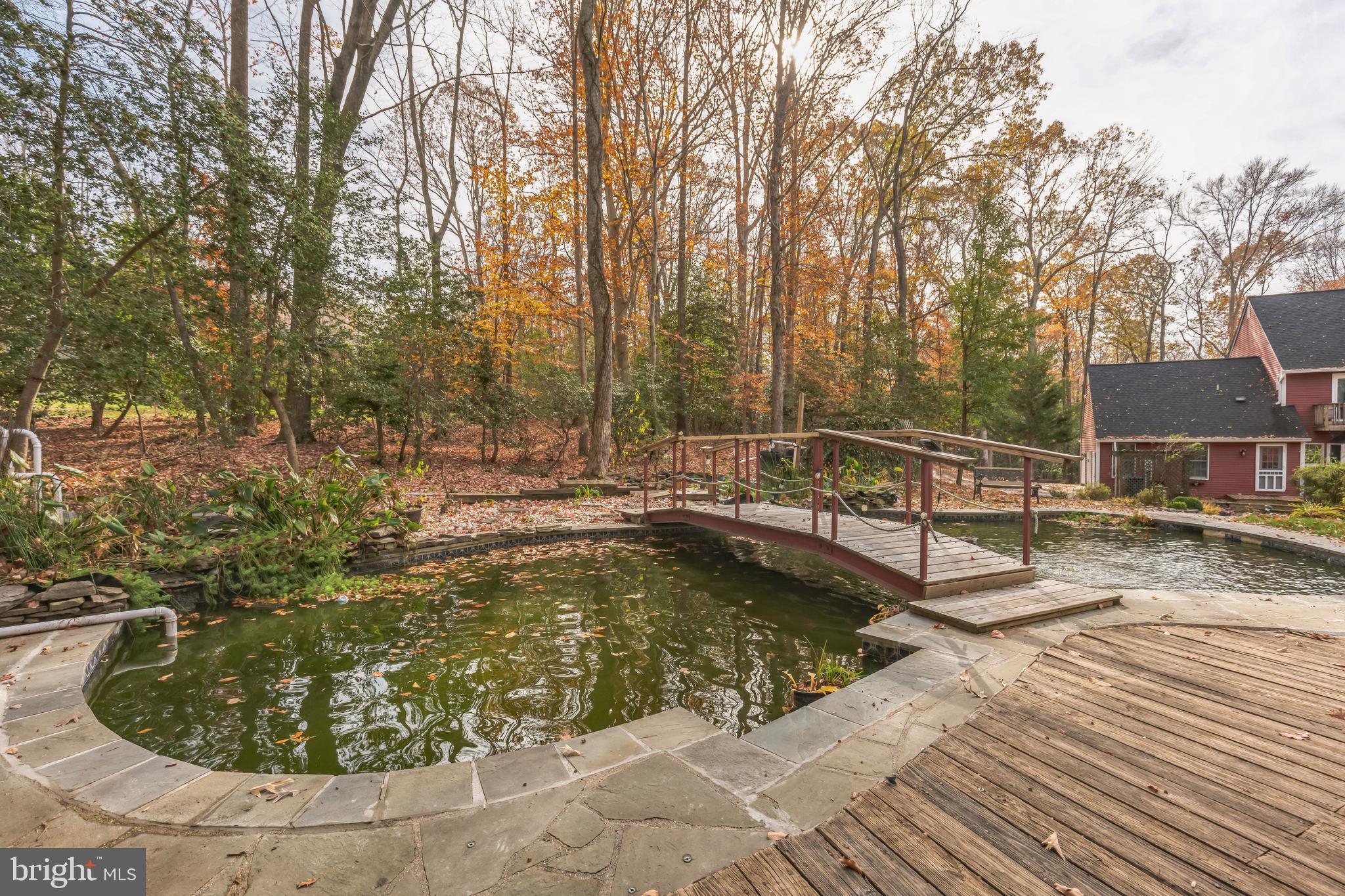 10401 3 Doctors Road Dunkirk, MD 20754 - Photo 43 of 45 Beautiful Pond