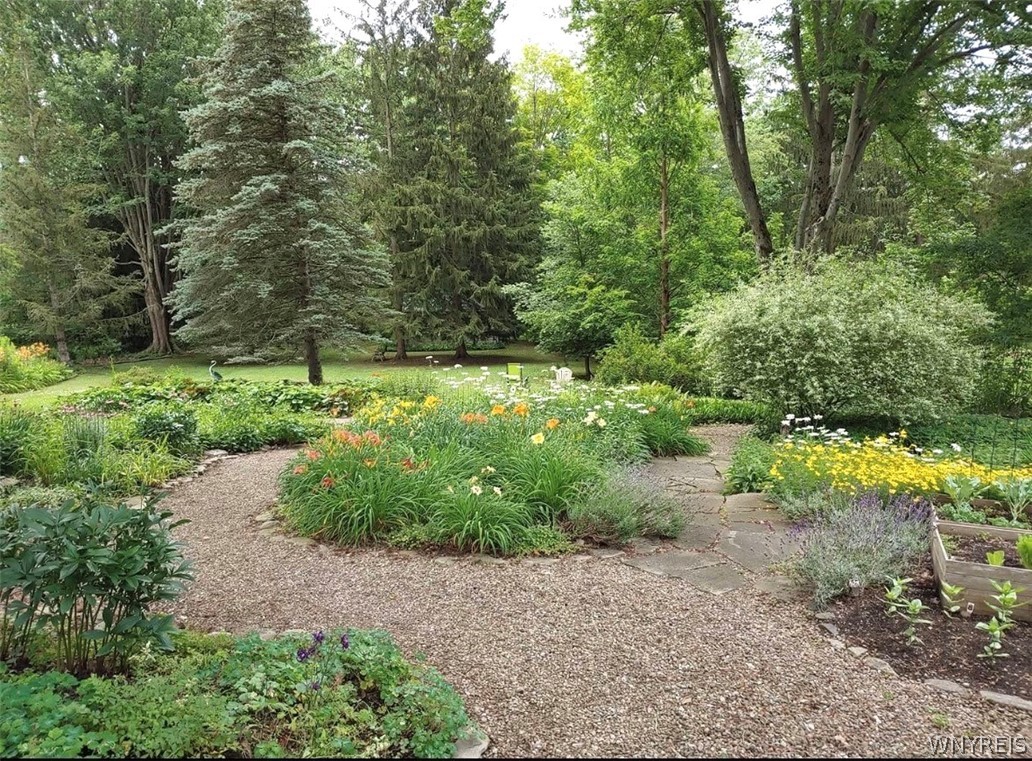 3373 Old Lakeview Road Hamburg, NY 14075 - Photo 24 of 40 springtime views of backyard oasis