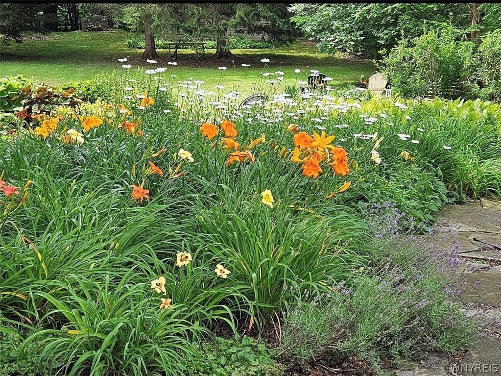 3373 Old Lakeview Road Hamburg, NY 14075 - Photo 25 of 40 springtime garden of flowers