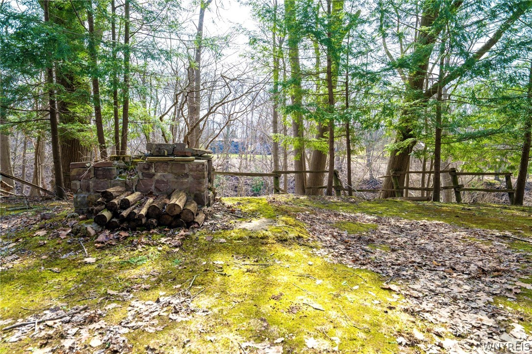3373 Old Lakeview Road Hamburg, NY 14075 - Photo 27 of 40 backyard views of creek